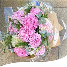 Pink Hydrangea Bouquet
