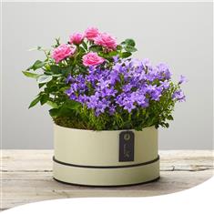 Pretty Planted Hatbox