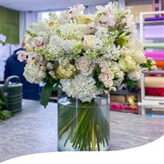 Pristine Orchid Opulence (Luxury)