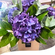 Purple Hydrangea Bouquet