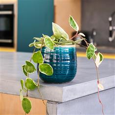 Como Turquoise Medium Pot